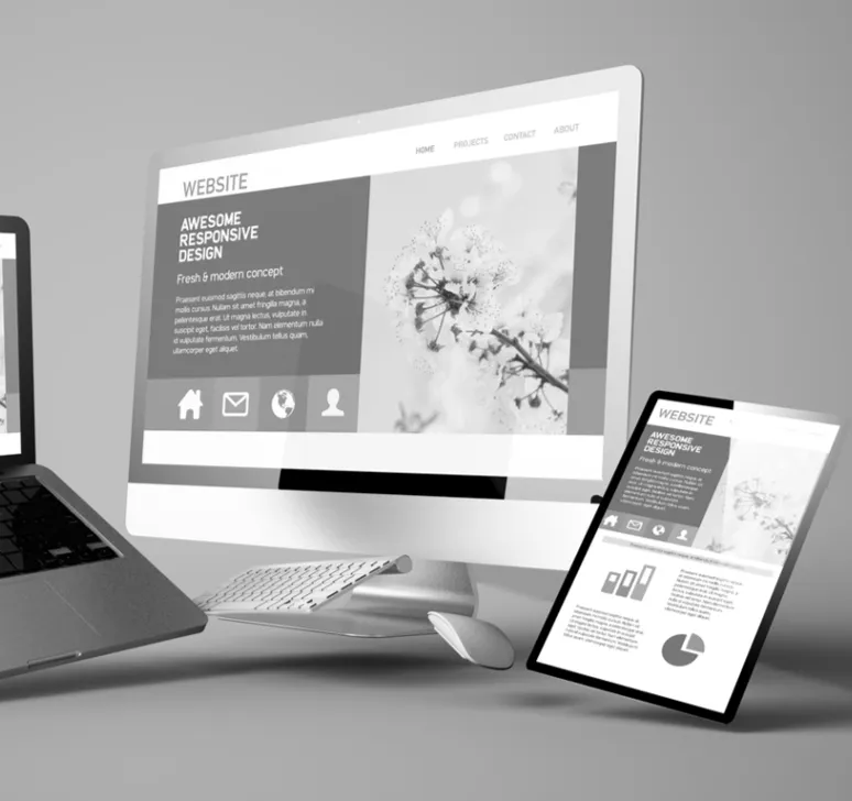 webdesign webdevelopment in egypt