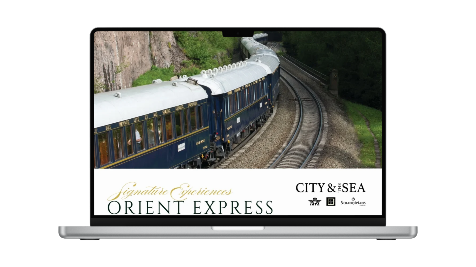 Website image (5)
