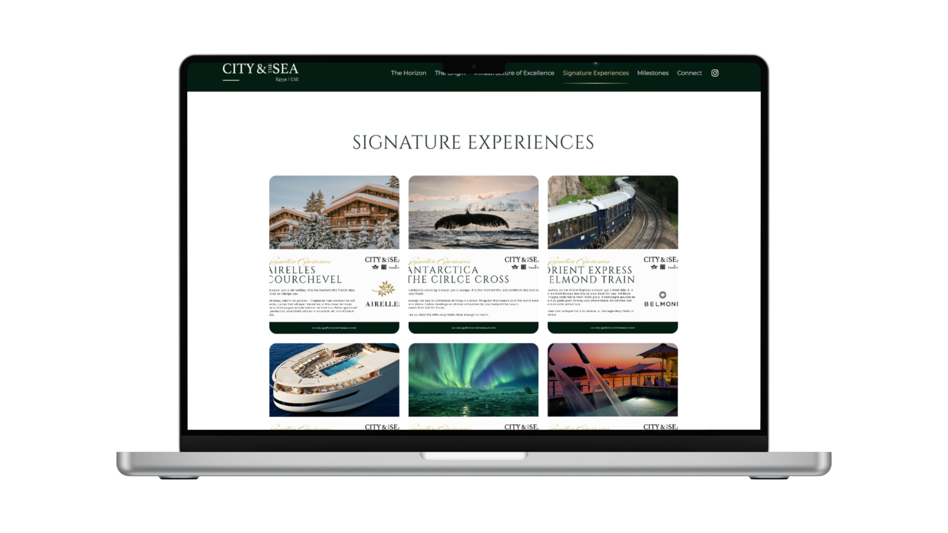 Website image (6)