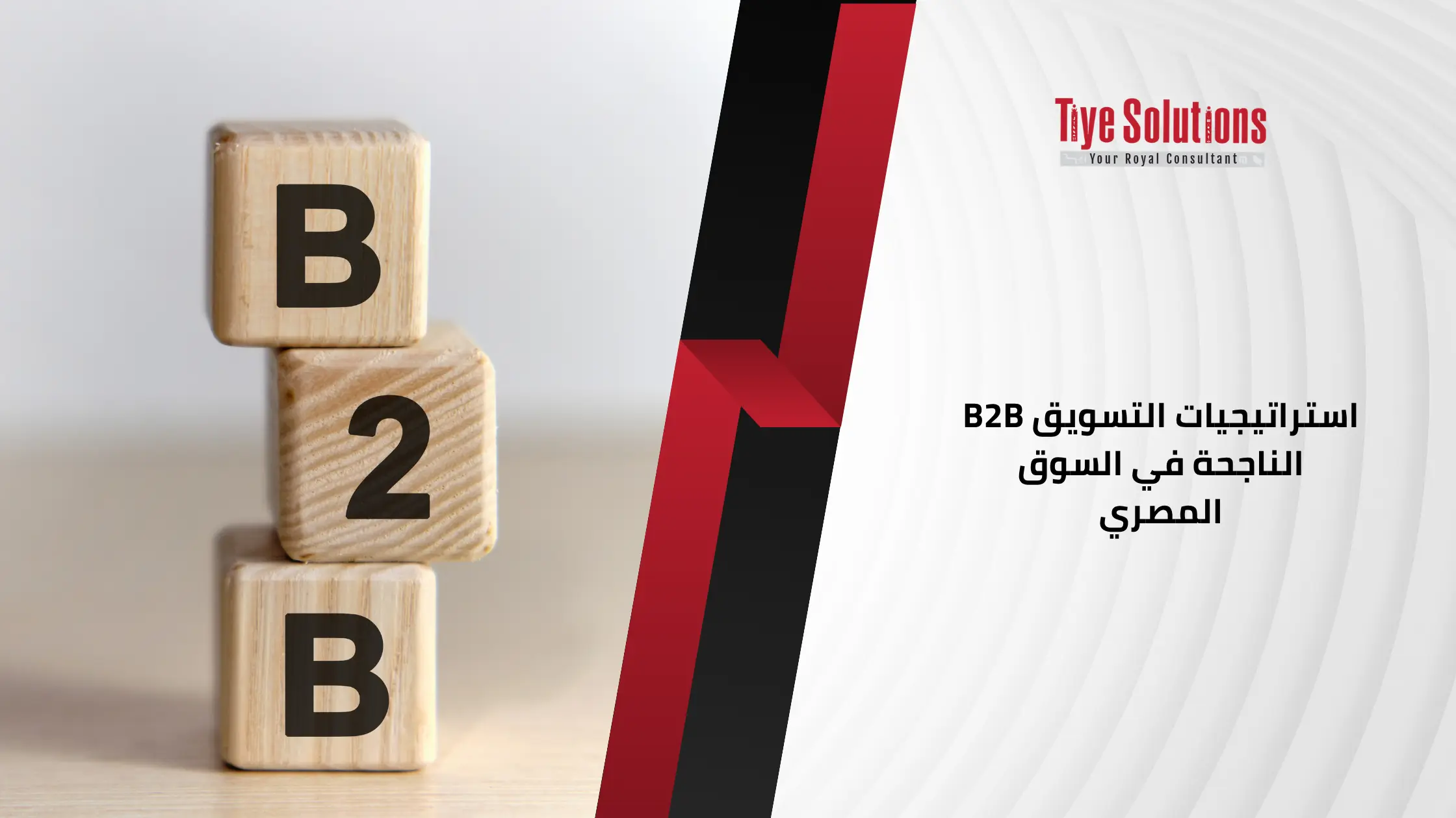 استراتيجيات التسويق B2B الناجحة في السوق المصري 1 استراتيجيات التسويق B2B الناجحة في السوق المصري