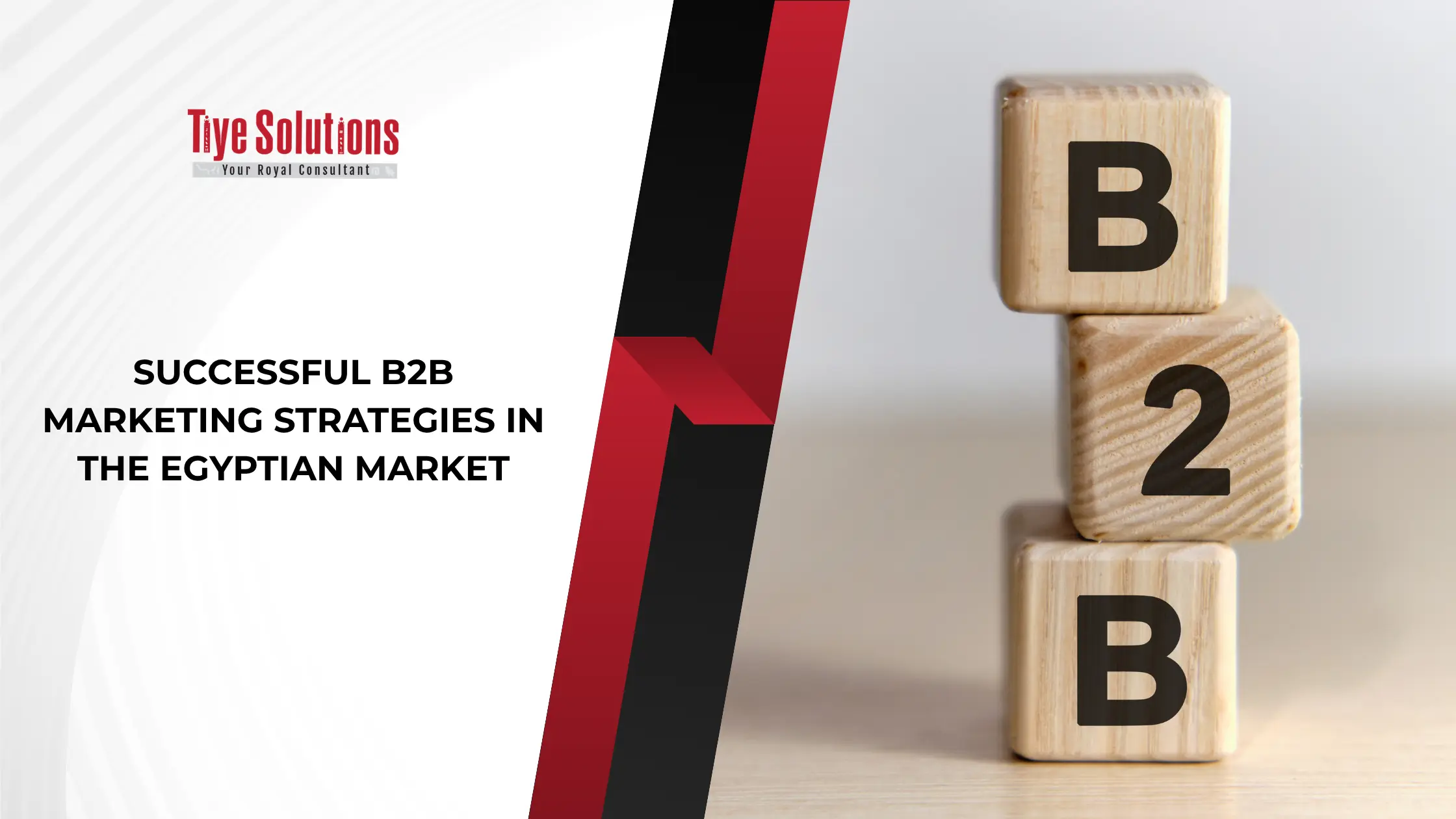 Successful B2B marketing strategies in the Egyptian market
