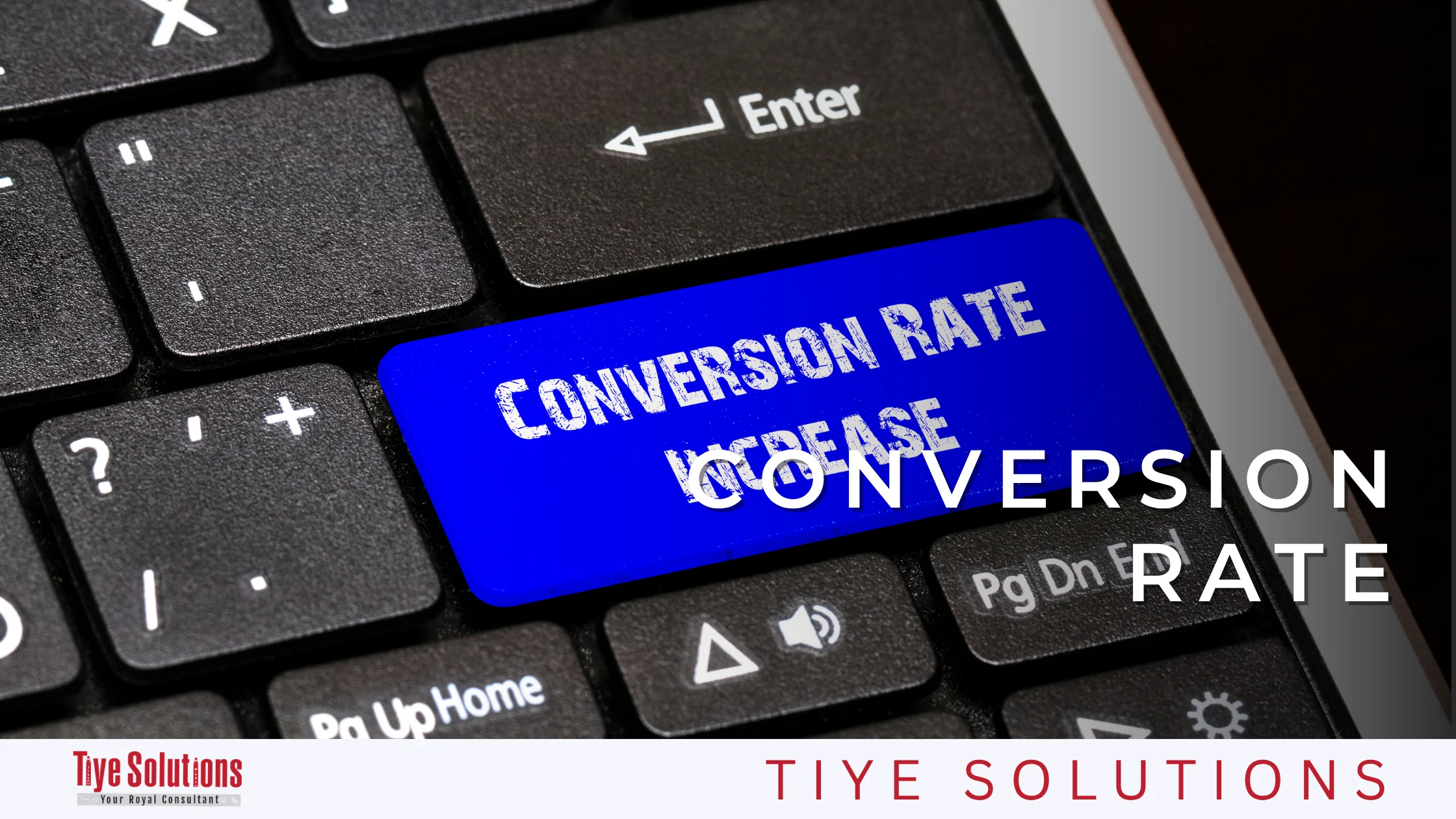 WhatsApp Business Marketing Guide for businesses and how to get the most out of it 11 Measuring conversion rate and sales from WhatsApp campaigns