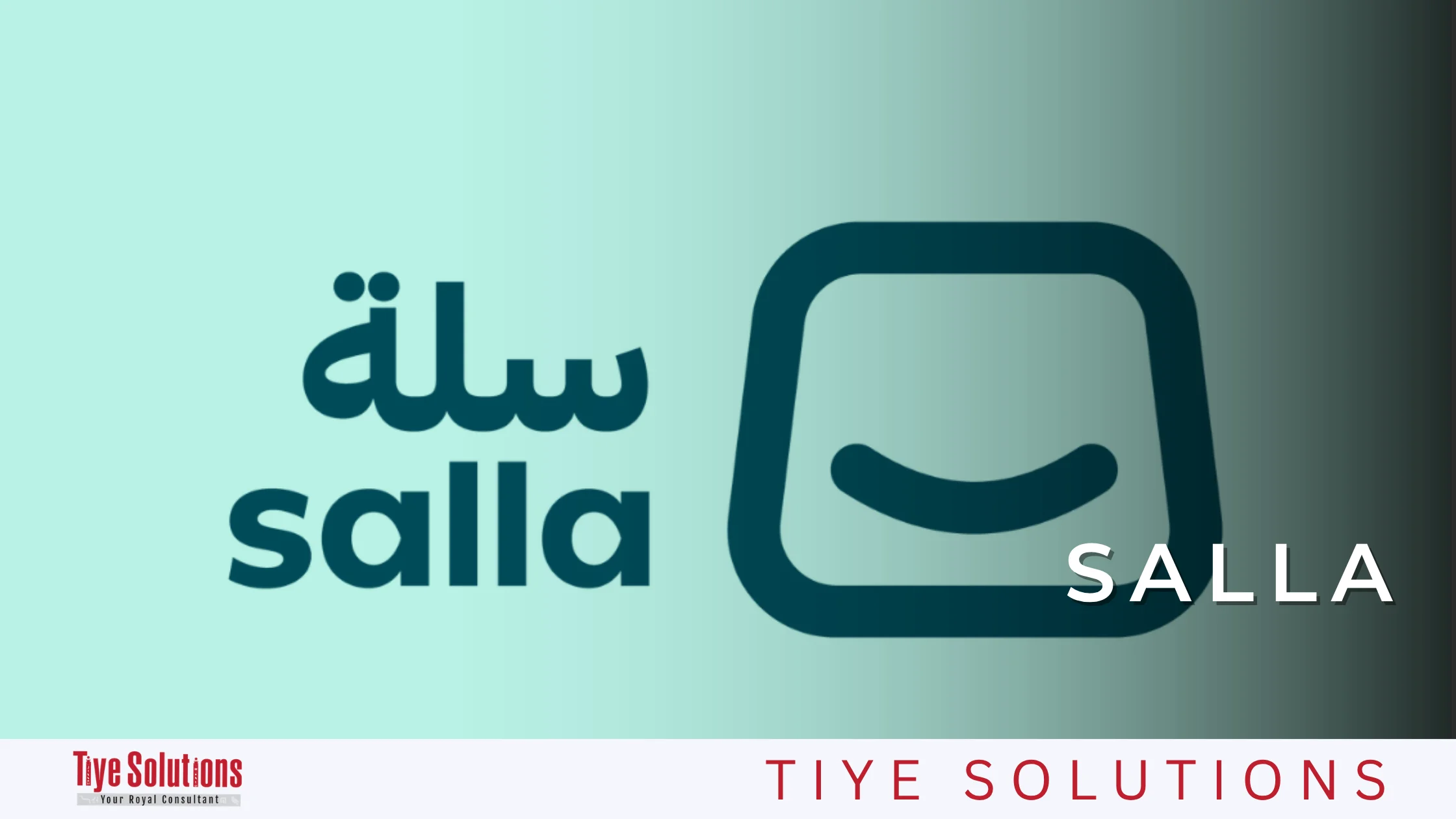 Comparison between Salla and Zid for e-commerce stores and which is best for e-commerce in the Gulf