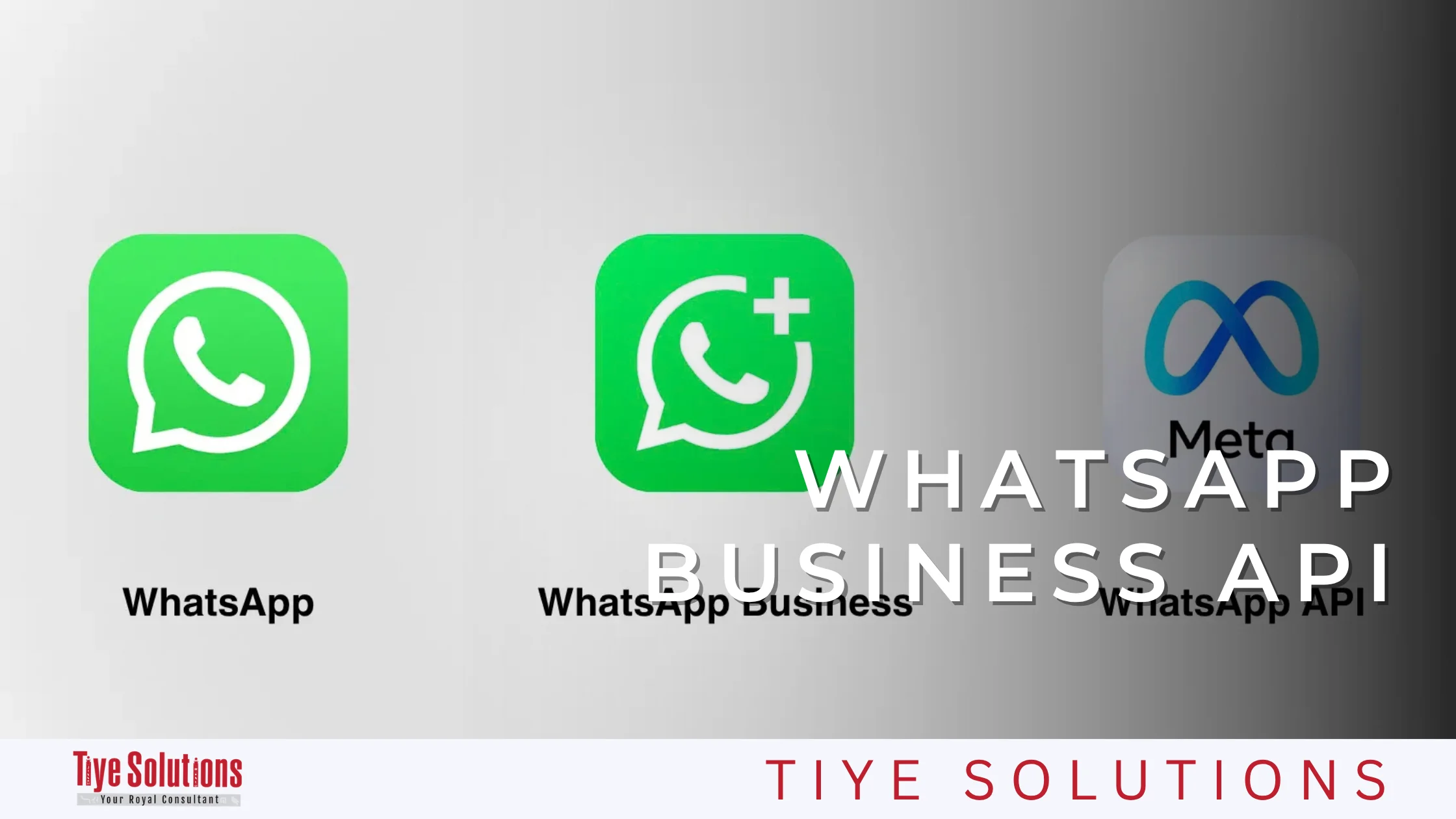 WhatsApp Business Marketing Guide for businesses and how to get the most out of it 8 Advanced WhatsApp chatbot automation for businesses