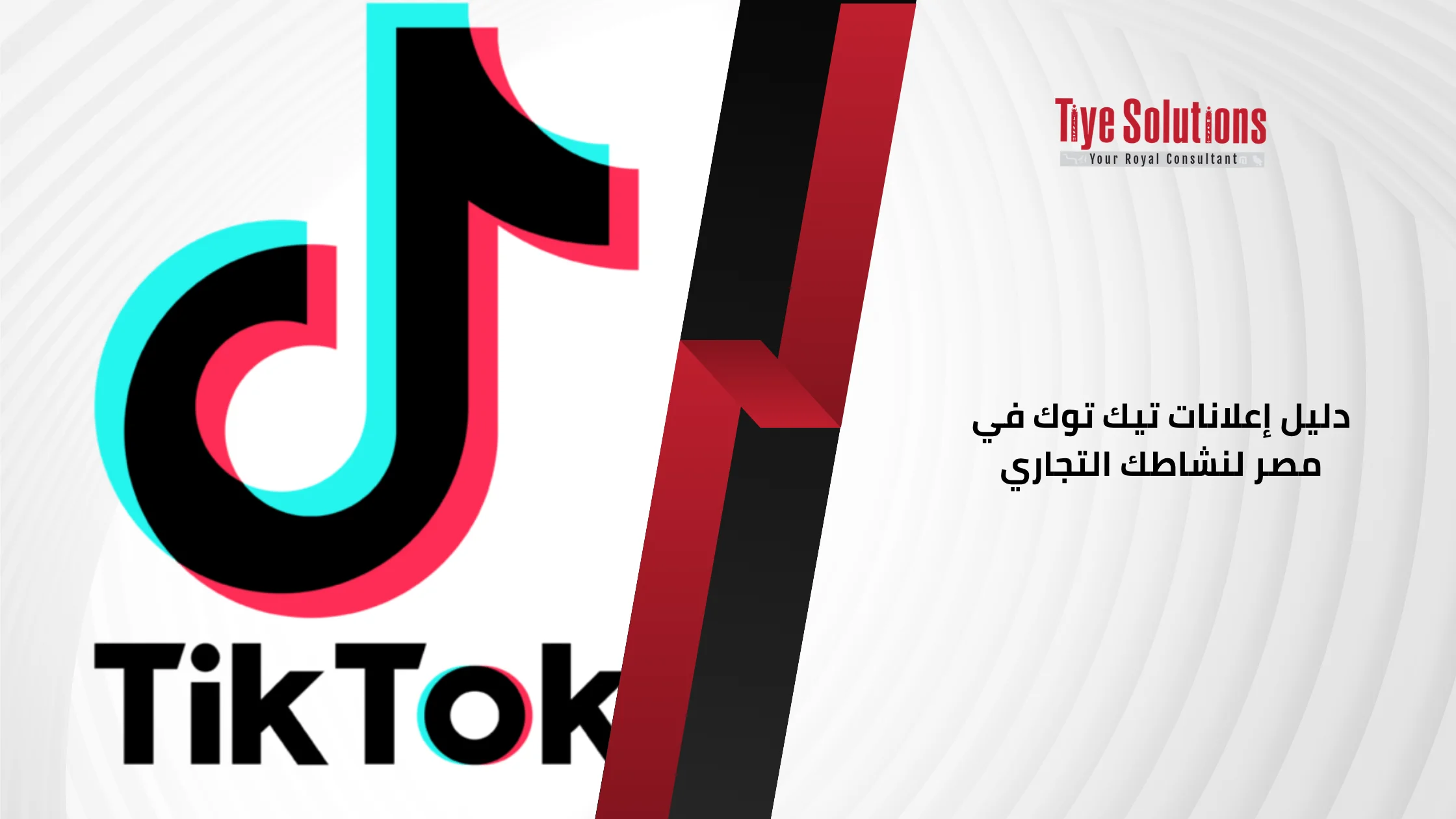 دليل إعلانات تيك توك في مصر لنشاطك التجاري